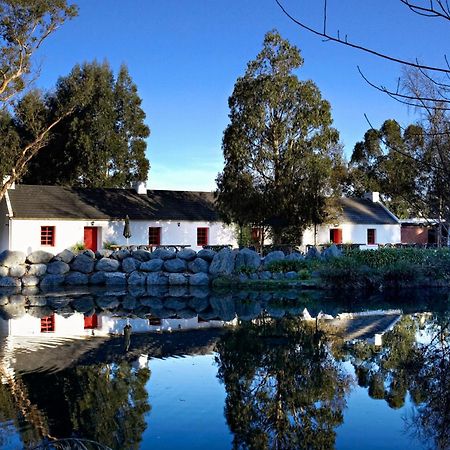 فندق Donegal House كايكورا المظهر الخارجي الصورة