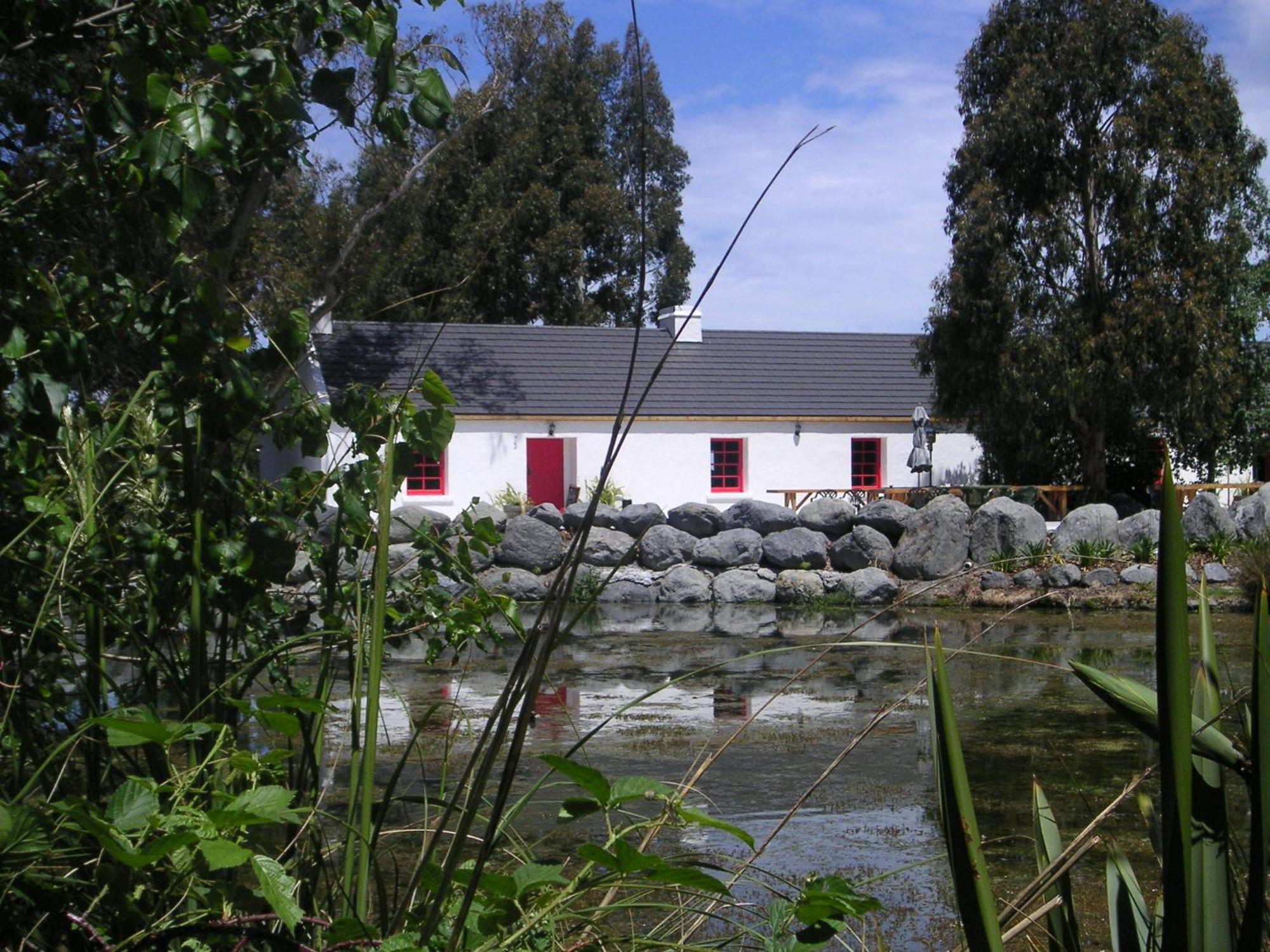 فندق Donegal House كايكورا المظهر الخارجي الصورة